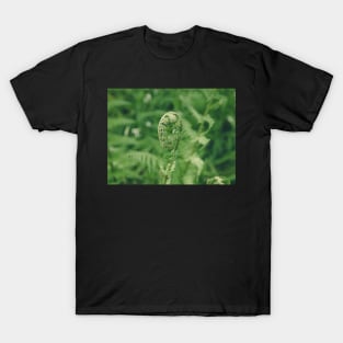 Fern T-Shirt